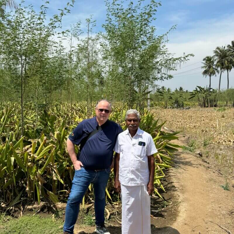 Visit India - turmeric update